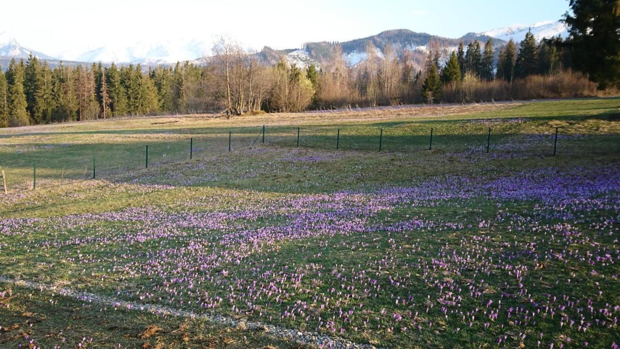 Domki Skupniowy Uplaz Murzasichle Exterior foto